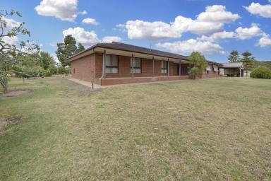 House For Sale - NSW - Tooleybuc - 2736 - Spacious Living on Over an Acre!  (Image 2)