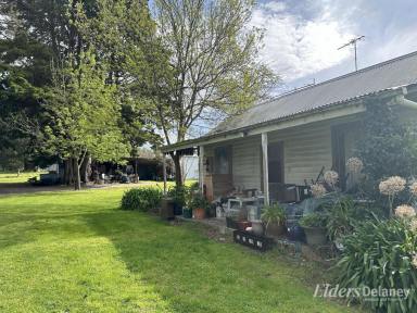 Acreage/Semi-rural Sold - VIC - Bunyip - 3815 - SMART INVESTMENT - ACREAGE PROPERTY JUST MINUTES FROM BUNYIP CBD!  (Image 2)
