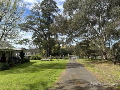 Acreage/Semi-rural Sold - VIC - Bunyip - 3815 - SMART INVESTMENT - ACREAGE PROPERTY JUST MINUTES FROM BUNYIP CBD!  (Image 2)