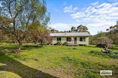 House Sold - VIC - Elmhurst - 3469 - Affordable country living on small acreage  (Image 2)