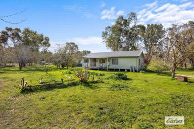 House Sold - VIC - Elmhurst - 3469 - Affordable country living on small acreage  (Image 2)