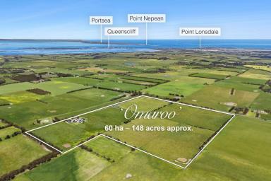 Lifestyle For Sale - VIC - Drysdale - 3222 - 'Omaroo' - A Most Enviable Coastal Rural Retreat  (Image 2)