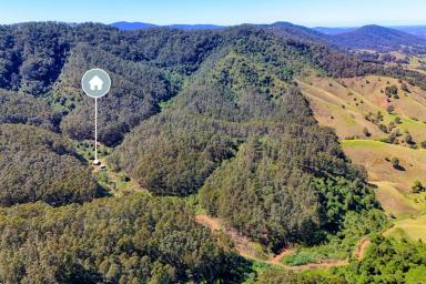 Acreage/Semi-rural For Sale - NSW - Belbora - 2422 - Timberrr!!!  (Image 2)