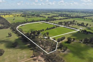 Acreage/Semi-rural For Sale - VIC - Earlston - 3669 - Elevated Residence And Stables, A Productive And Improved Farm  (Image 2)