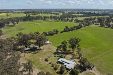 Acreage/Semi-rural For Sale - VIC - Earlston - 3669 - Elevated Residence And Stables, A Productive And Improved Farm  (Image 2)