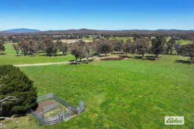 Residential Block For Sale - VIC - Axe Creek - 3551 - FERTILE LIFESTYLE ALLOTMENT WITH VIEWS OUT TO MOUNT ALEXANDER  (Image 2)