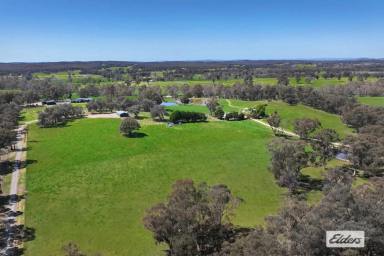 Residential Block For Sale - VIC - Axe Creek - 3551 - FERTILE LIFESTYLE ALLOTMENT WITH VIEWS OUT TO MOUNT ALEXANDER  (Image 2)