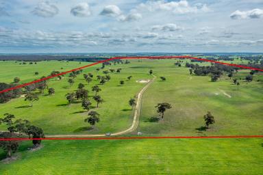 Mixed Farming Auction - SA - Mundulla - 5270 - BLACK HILL  (Image 2)