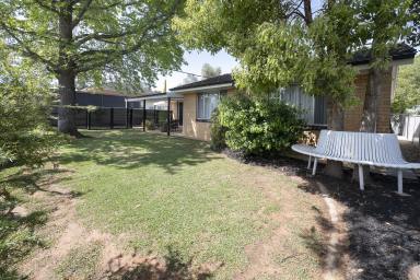 House For Sale - VIC - Swan Hill - 3585 - Discover a Hidden Gem in Central Swan Hill!  (Image 2)