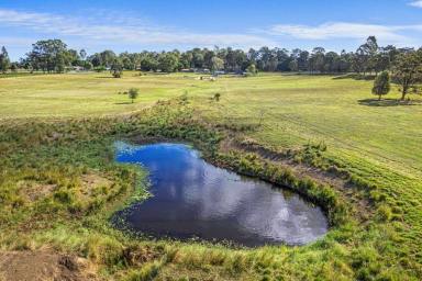 Acreage/Semi-rural For Sale - QLD - Amamoor - 4570 - PICTURESQUE PRIME ACREAGE PROPERTY IN THE MARY VALLEY  (Image 2)