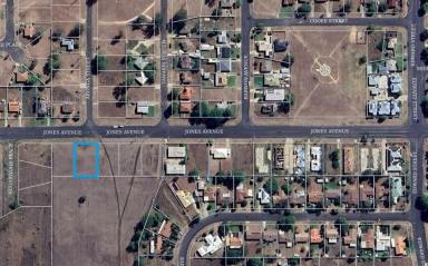 Residential Block For Sale - NSW - Moree - 2400 - Jones Avenue Building Block  (Image 2)