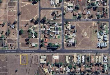 Residential Block For Sale - NSW - Moree - 2400 - Jones Avenue Building Block  (Image 2)