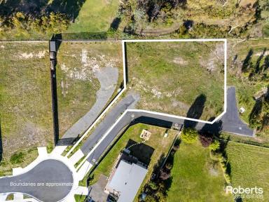 Residential Block For Sale - TAS - Orford - 7190 - Orford Escape  (Image 2)