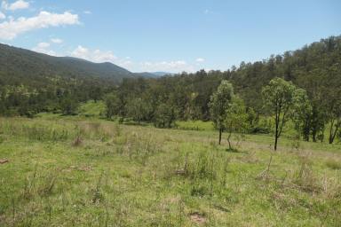 Lifestyle For Sale - NSW - Rocky River - 2372 - ROUGH DIAMOND  (Image 2)