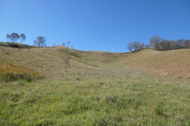 Lifestyle For Sale - NSW - Rocky River - 2372 - RIVER DEEP, MOUNTAIN HIGH  (Image 2)