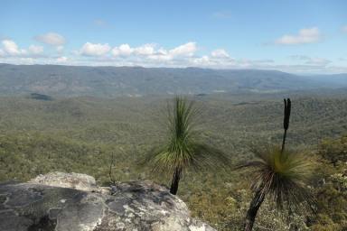 Lifestyle For Sale - NSW - Rocky River - 2372 - HIDDEN FOREST  (Image 2)