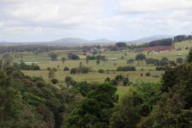 Acreage/Semi-rural For Sale - QLD - Goomboorian - 4570 - ABSOLUTE PRIVACY  (Image 2)