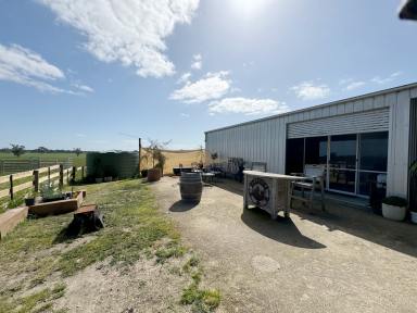 Farmlet For Sale - SA - Naracoorte - 5271 - 58 Acres - Ideal Weekender, Add on Block or First Time Farmer  (Image 2)