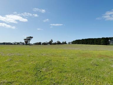 Farmlet For Sale - SA - Naracoorte - 5271 - 58 Acres - Ideal Weekender, Add on Block or First Time Farmer  (Image 2)