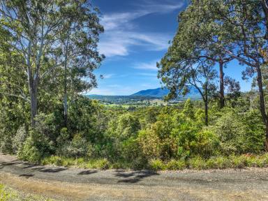 Acreage/Semi-rural Sold - NSW - Kendall - 2439 - Views for Days  (Image 2)