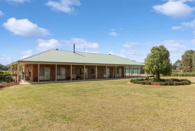 House Sold - VIC - Marong - 3515 - Delightful Farmlet with Dam and Shedding  (Image 2)