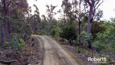 Other (Rural) For Sale - TAS - Underwood - 7268 - Underwood Bushland Sale  (Image 2)