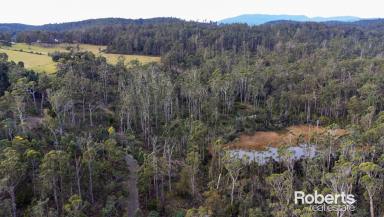 Other (Rural) For Sale - TAS - Underwood - 7268 - Underwood Bushland Sale  (Image 2)