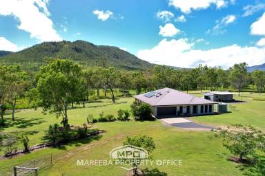 Lifestyle For Sale - QLD - Mutchilba - 4872 - LIFESTYLE IN SCENIC OAKY VALLEY  (Image 2)