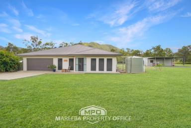 Lifestyle For Sale - QLD - Mutchilba - 4872 - LIFESTYLE IN SCENIC OAKY VALLEY  (Image 2)