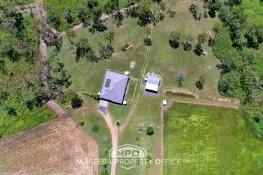 Lifestyle For Sale - QLD - Mutchilba - 4872 - LIFESTYLE IN SCENIC OAKY VALLEY  (Image 2)