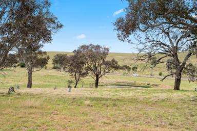 Lifestyle For Sale - NSW - Gunning - 2581 - Peaceful Country Living  (Image 2)