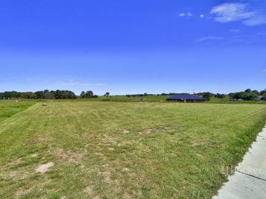 Residential Block For Sale - VIC - Johnsonville - 3902 - BUILD YOUR DREAM BY THE TAMBO RIVER  (Image 2)