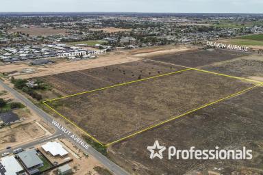 Residential Block For Sale - VIC - Mildura - 3500 - 4.05Ha Residential Development Opportunity  (Image 2)