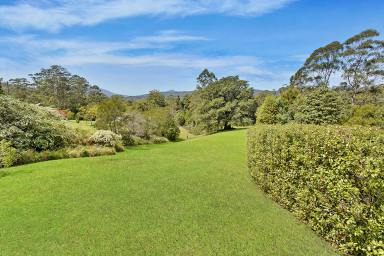 Acreage/Semi-rural For Sale - NSW - Hannam Vale - 2443 - Unrivalled Valley Views  (Image 2)