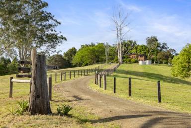 House For Sale - QLD - Black Mountain - 4563 - Extraordinary Haven in the Noosa Hinterland  (Image 2)