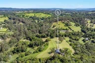 House For Sale - QLD - Black Mountain - 4563 - Extraordinary Haven in the Noosa Hinterland  (Image 2)