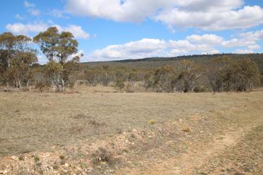 Lifestyle For Sale - NSW - Peak View - 2630 - Nature is your Backdrop  (Image 2)