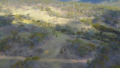 Lifestyle For Sale - NSW - Peak View - 2630 - Nature is your Backdrop  (Image 2)