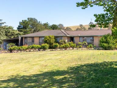 Acreage/Semi-rural Sold - NSW - Bega - 2550 - FARM LIFESTYLE CLOSE TO BEGA!  (Image 2)