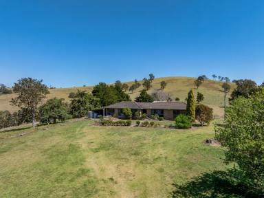 Acreage/Semi-rural Sold - NSW - Bega - 2550 - FARM LIFESTYLE CLOSE TO BEGA!  (Image 2)