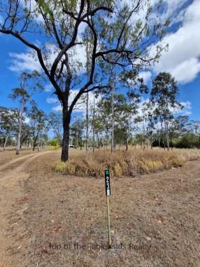 Acreage/Semi-rural For Sale - QLD - Millstream - 4888 - Whispering Gums of a Corner Block  (Image 2)