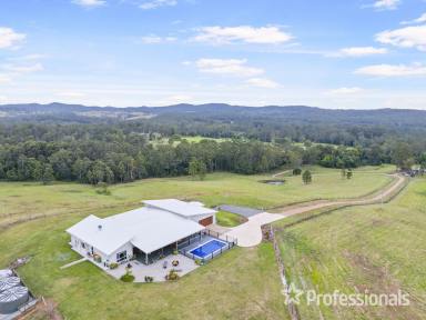 Livestock For Sale - QLD - Wolvi - 4570 - Experience Luxury Living with Stunning 360-Degree Views  (Image 2)