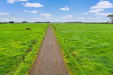 Livestock Sold - VIC - Nirranda South - 3268 - Dairying – Grazing – Lifestyle  (Image 2)