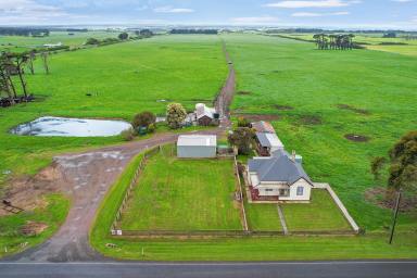 Livestock Sold - VIC - Nirranda South - 3268 - Dairying – Grazing – Lifestyle  (Image 2)