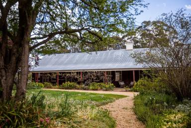 Livestock For Sale - NSW - Bungonia - 2580 - Spring Ponds Fine Wool Merino Sheep Station,1288 acres,15 Lots , 2 Road Frontages, Natural Springs,Running Creek, Multiple Dwellings.  (Image 2)