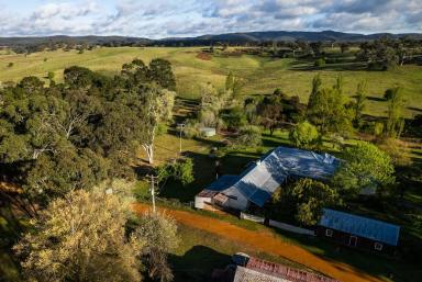 Livestock For Sale - NSW - Bungonia - 2580 - Spring Ponds Fine Wool Merino Sheep Station,1288 acres,15 Lots , 2 Road Frontages, Natural Springs,Running Creek, Multiple Dwellings.  (Image 2)