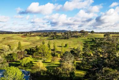 Livestock For Sale - NSW - Bungonia - 2580 - Spring Ponds Fine Wool Merino Sheep Station,1288 acres,15 Lots , 2 Road Frontages, Natural Springs,Running Creek, Multiple Dwellings.  (Image 2)