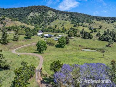 Livestock For Sale - QLD - Cedar Pocket - 4570 - Lifestyle And Cattle Property East Of Gympie  (Image 2)