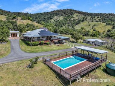 Livestock For Sale - QLD - Cedar Pocket - 4570 - Lifestyle And Cattle Property East Of Gympie  (Image 2)