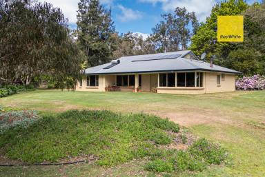 House For Sale - WA - Nannup - 6275 - STUNNING LIFESTYLE PROPERTY IN THE HEART OF THE SOUTH WEST  (Image 2)